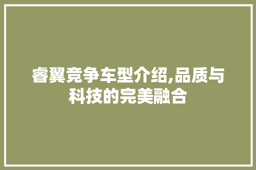 睿翼竞争车型介绍,品质与科技的完美融合