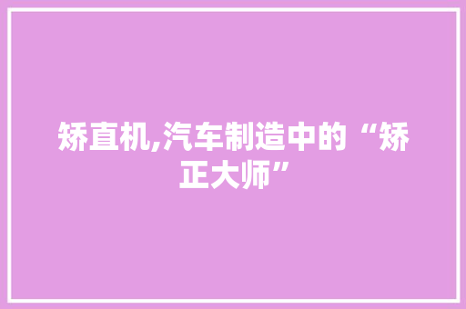 矫直机,汽车制造中的“矫正大师”