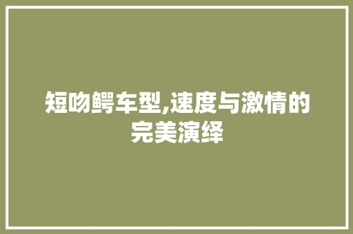短吻鳄车型,速度与激情的完美演绎