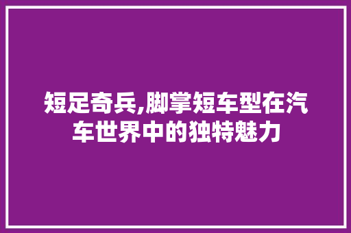 短足奇兵,脚掌短车型在汽车世界中的独特魅力