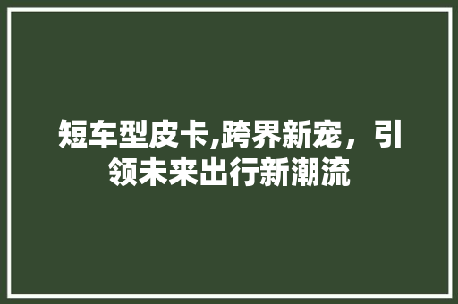 短车型皮卡,跨界新宠，引领未来出行新潮流