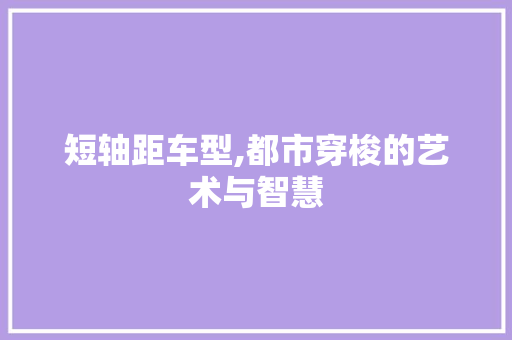 短轴距车型,都市穿梭的艺术与智慧