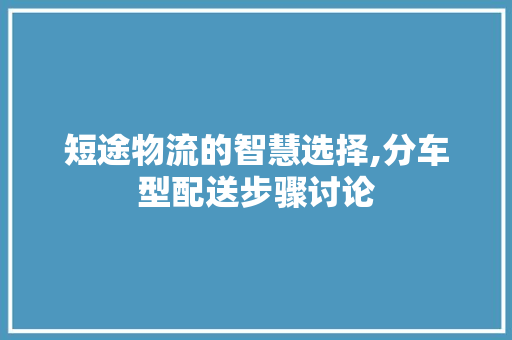 短途物流的智慧选择,分车型配送步骤讨论