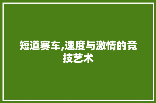 短道赛车,速度与激情的竞技艺术
