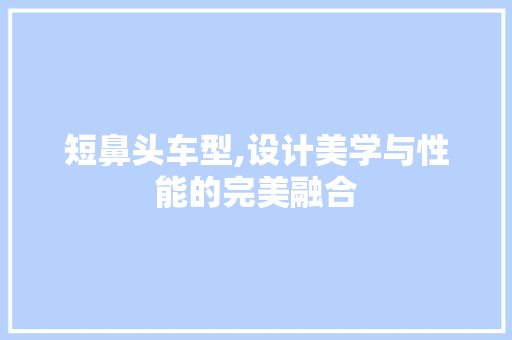 短鼻头车型,设计美学与性能的完美融合