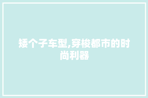 矮个子车型,穿梭都市的时尚利器