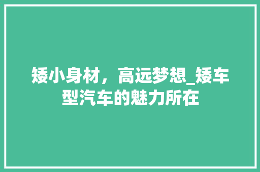 矮小身材，高远梦想_矮车型汽车的魅力所在