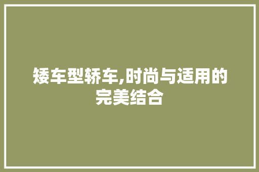 矮车型轿车,时尚与适用的完美结合