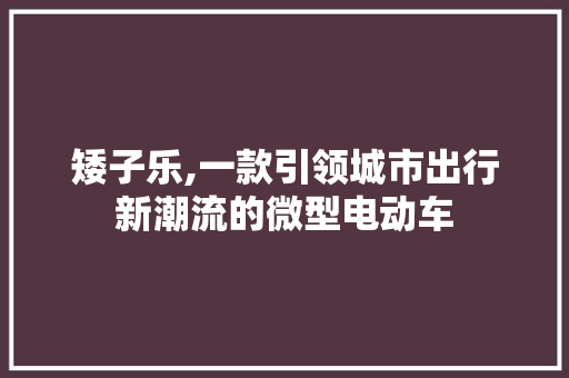 矮子乐,一款引领城市出行新潮流的微型电动车