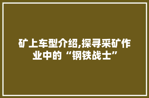矿上车型介绍,探寻采矿作业中的“钢铁战士”