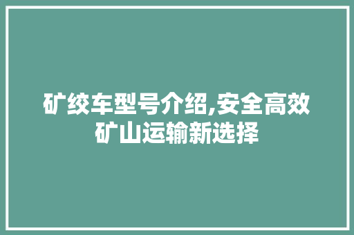 矿绞车型号介绍,安全高效矿山运输新选择