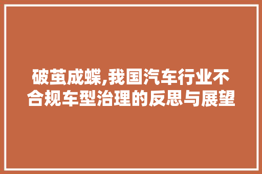 破茧成蝶,我国汽车行业不合规车型治理的反思与展望