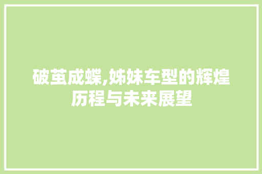 破茧成蝶,姊妹车型的辉煌历程与未来展望