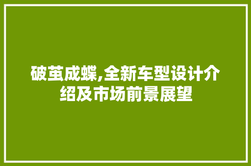 破茧成蝶,全新车型设计介绍及市场前景展望
