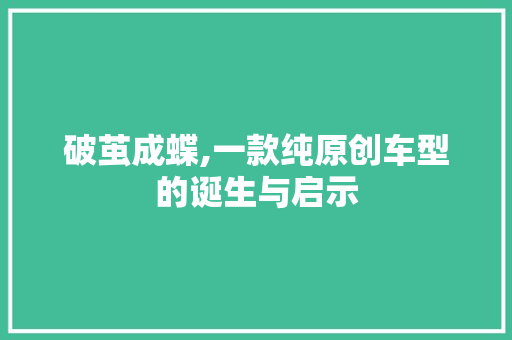 破茧成蝶,一款纯原创车型的诞生与启示