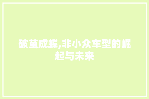 破茧成蝶,非小众车型的崛起与未来