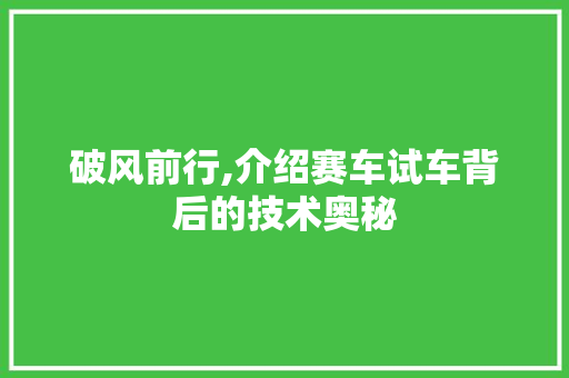 破风前行,介绍赛车试车背后的技术奥秘