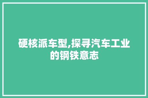 硬核派车型,探寻汽车工业的钢铁意志
