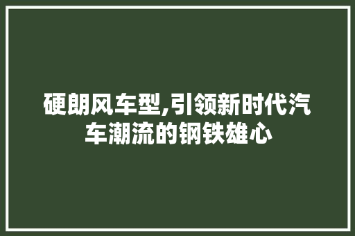 硬朗风车型,引领新时代汽车潮流的钢铁雄心