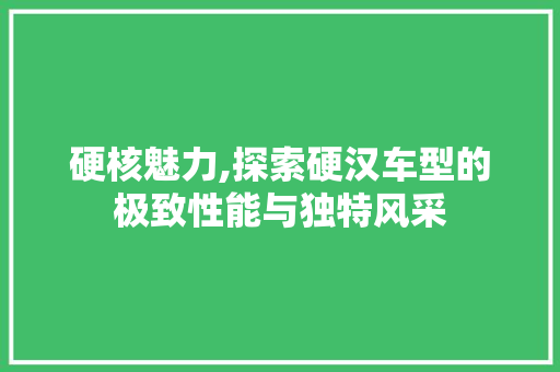 硬核魅力,探索硬汉车型的极致性能与独特风采
