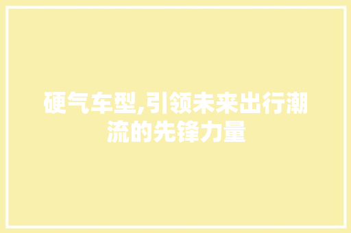 硬气车型,引领未来出行潮流的先锋力量