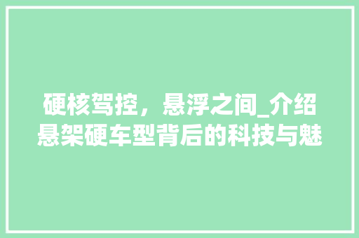 硬核驾控，悬浮之间_介绍悬架硬车型背后的科技与魅力