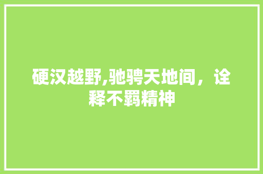 硬汉越野,驰骋天地间，诠释不羁精神