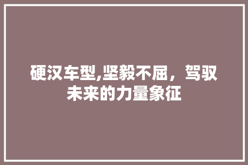 硬汉车型,坚毅不屈，驾驭未来的力量象征