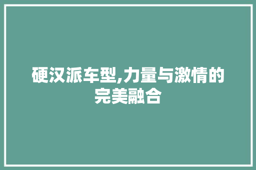 硬汉派车型,力量与激情的完美融合