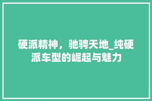 硬派精神，驰骋天地_纯硬派车型的崛起与魅力