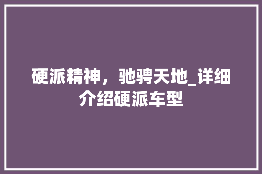 硬派精神，驰骋天地_详细介绍硬派车型