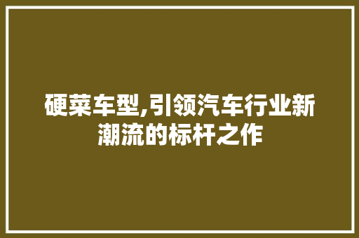 硬菜车型,引领汽车行业新潮流的标杆之作