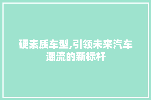 硬素质车型,引领未来汽车潮流的新标杆
