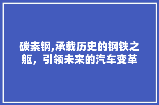 碳素钢,承载历史的钢铁之躯，引领未来的汽车变革