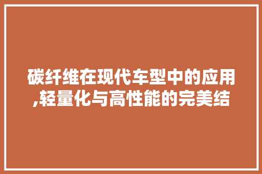 碳纤维在现代车型中的应用,轻量化与高性能的完美结合
