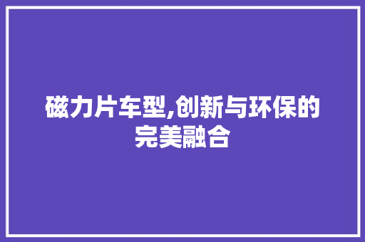 磁力片车型,创新与环保的完美融合