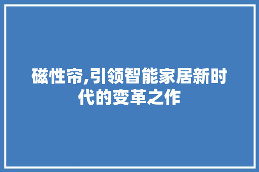 磁性帘,引领智能家居新时代的变革之作