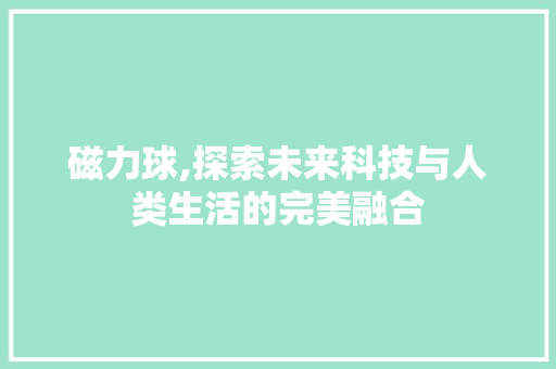 磁力球,探索未来科技与人类生活的完美融合