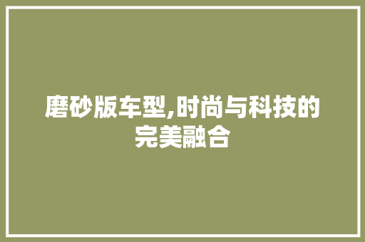 磨砂版车型,时尚与科技的完美融合