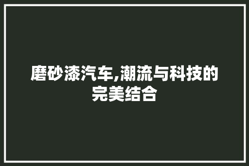 磨砂漆汽车,潮流与科技的完美结合