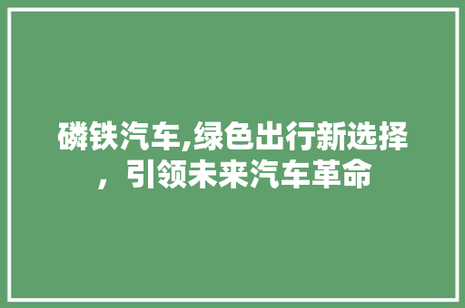 磷铁汽车,绿色出行新选择，引领未来汽车革命