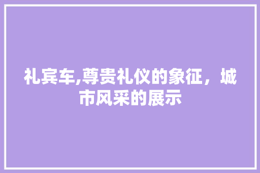 礼宾车,尊贵礼仪的象征，城市风采的展示