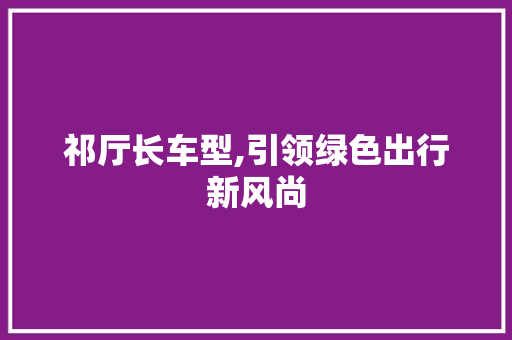 祁厅长车型,引领绿色出行新风尚