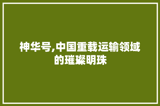 神华号,中国重载运输领域的璀璨明珠