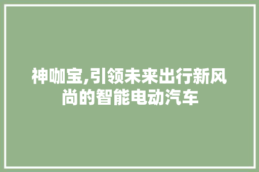 神咖宝,引领未来出行新风尚的智能电动汽车