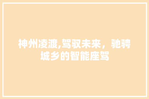 神州凌渡,驾驭未来，驰骋城乡的智能座驾
