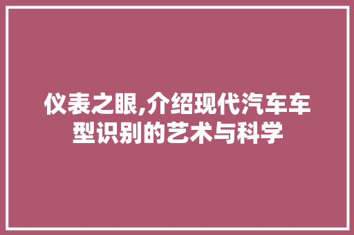 仪表之眼,介绍现代汽车车型识别的艺术与科学