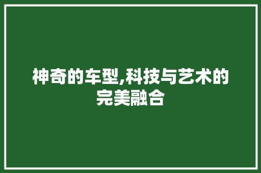 神奇的车型,科技与艺术的完美融合