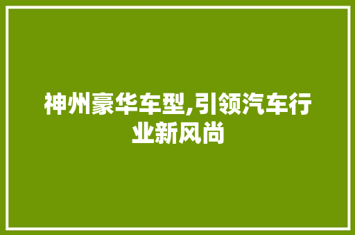 神州豪华车型,引领汽车行业新风尚