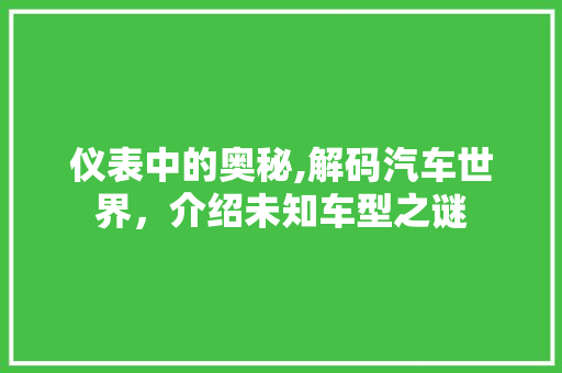 仪表中的奥秘,解码汽车世界，介绍未知车型之谜
